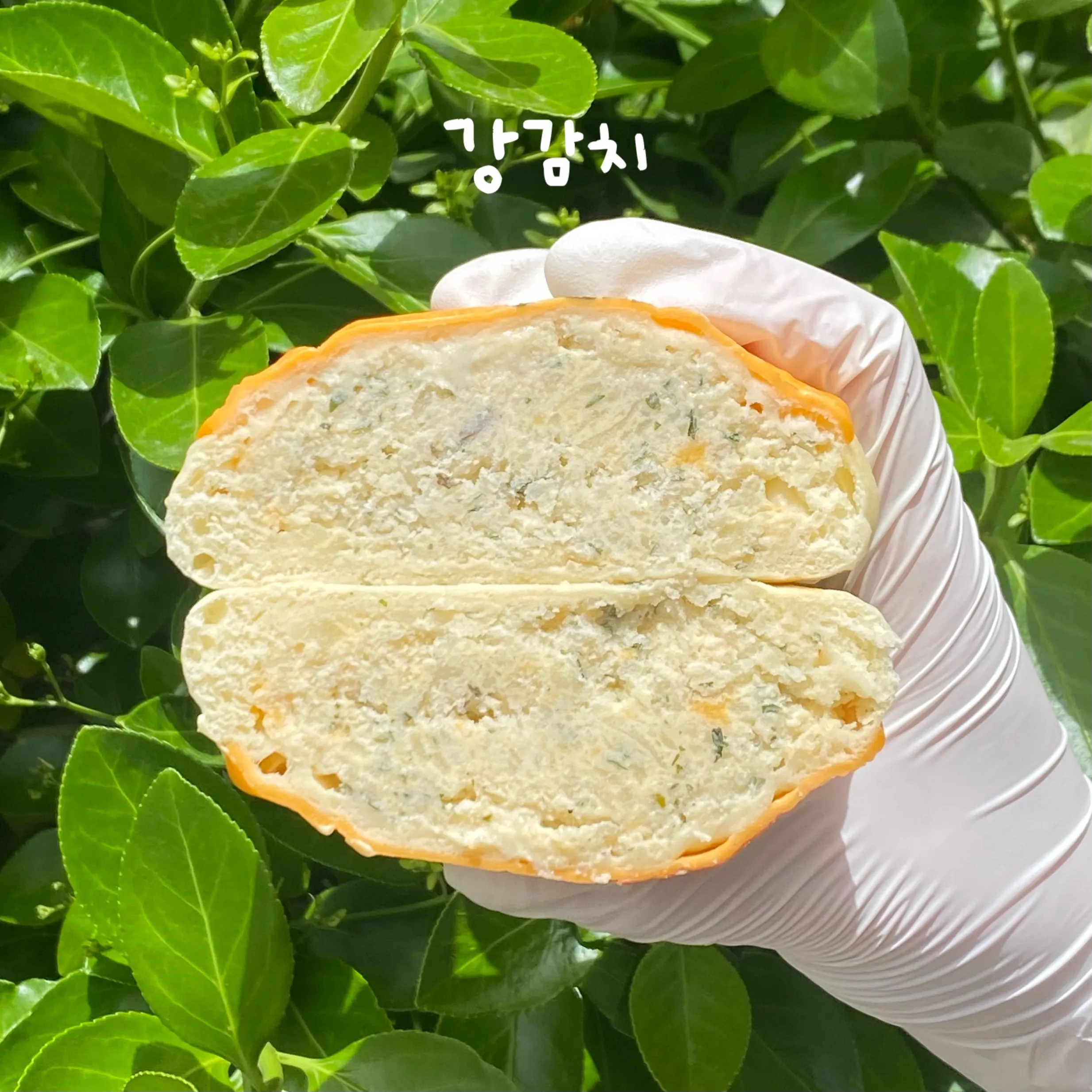 강감치 (강원도 감자 치즈 쫀득빵)