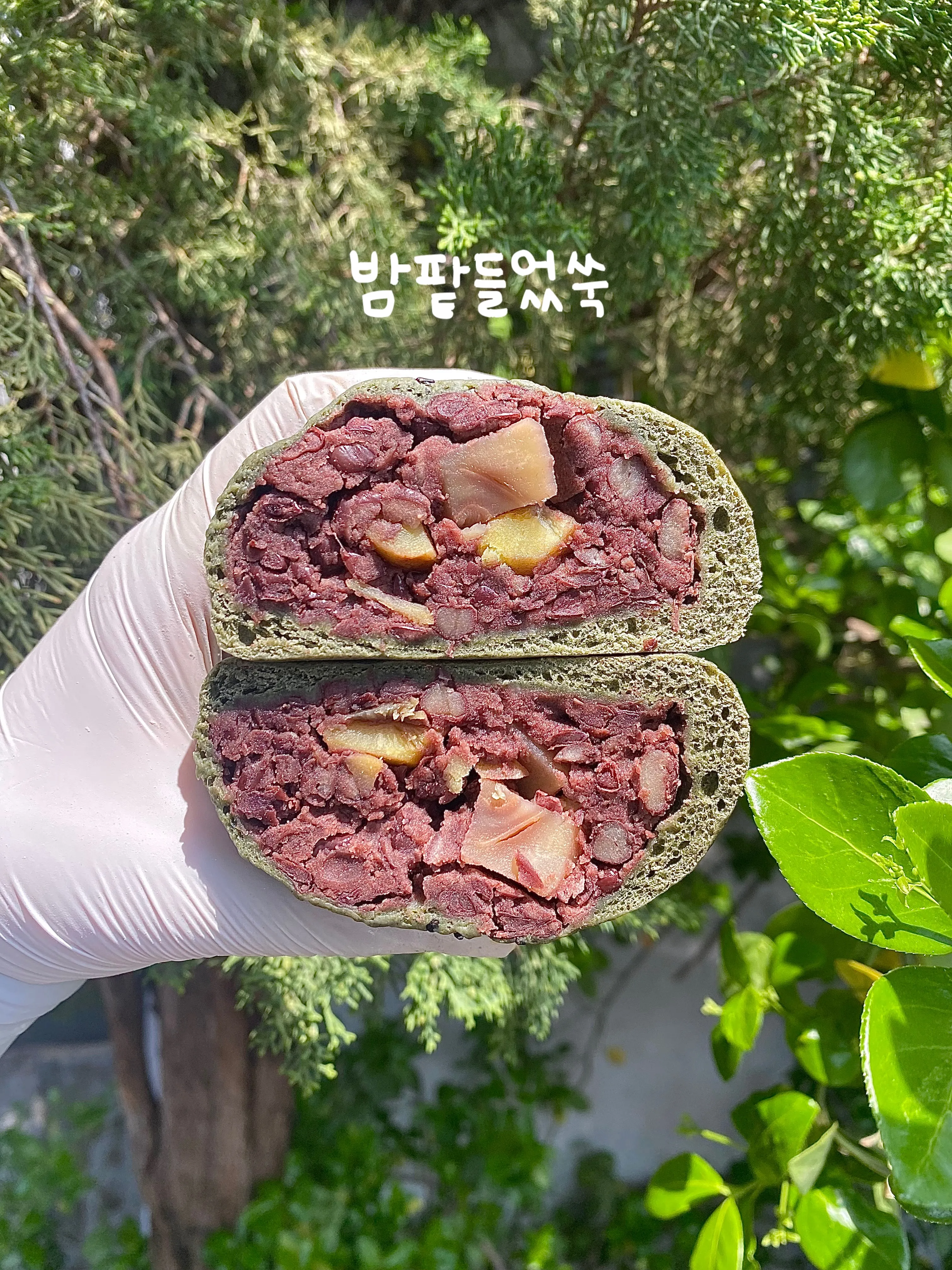 밤팥들었쑥 쫀득빵