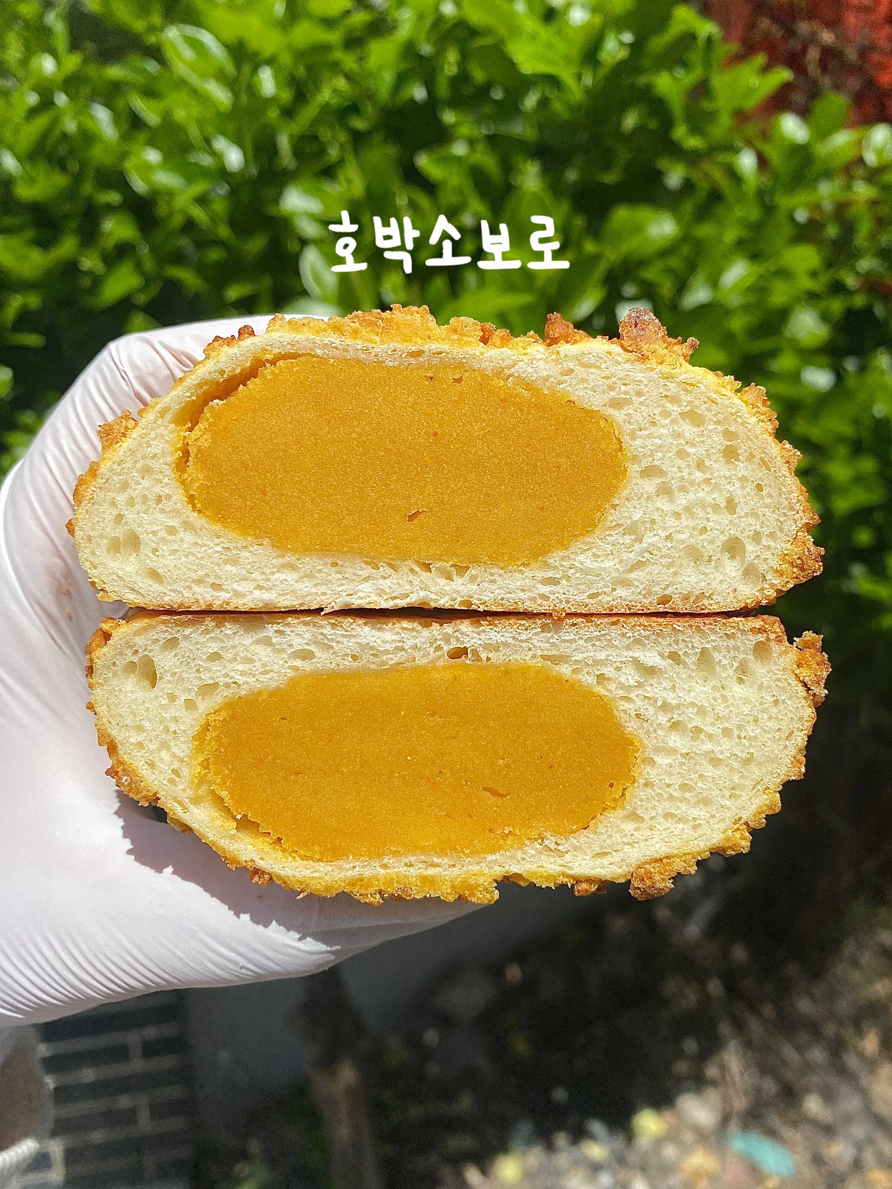 초옥치 (초당옥수수 크림치즈 쫀득빵)